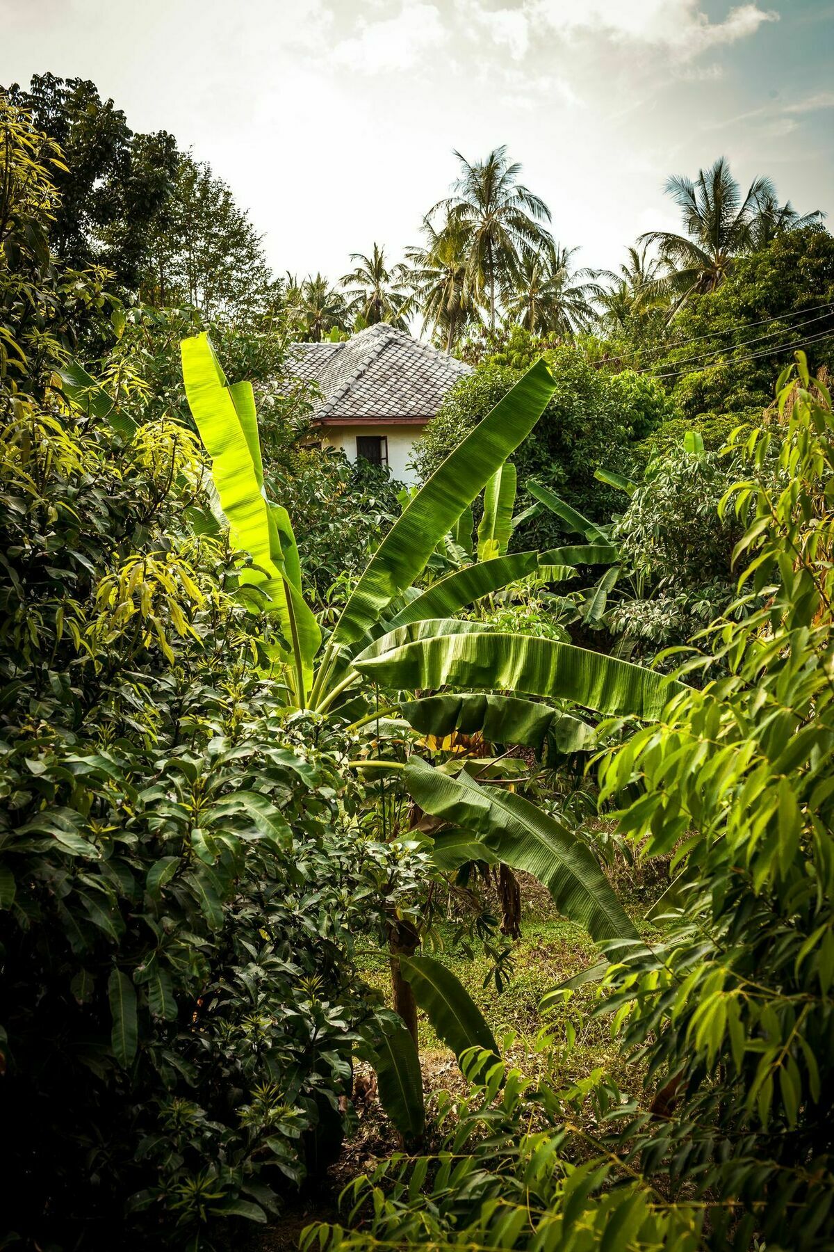 Cashew Nut Village Bophut Eksteriør billede